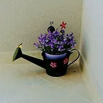 Dineva Apartament *